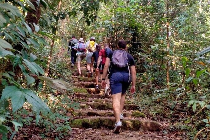 Chiang Mai: Doi Suthep Summit Trek – 7 Hour Pure Hiking Adventure - What to Bring (And What You Don’t Have To Stress About)
