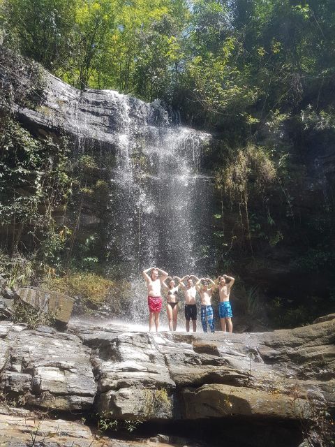 Chiang Mai: Elephant Sanctuary & Jungle Trek w/ Waterfall - Key highlights at a glance