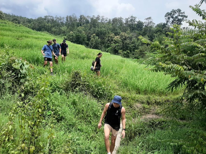 Chiang Mai: Elephant Sanctuary & Jungle Trek w/ Waterfall - A one-day Chiang Mai loop with elephants, raft, and waterfall