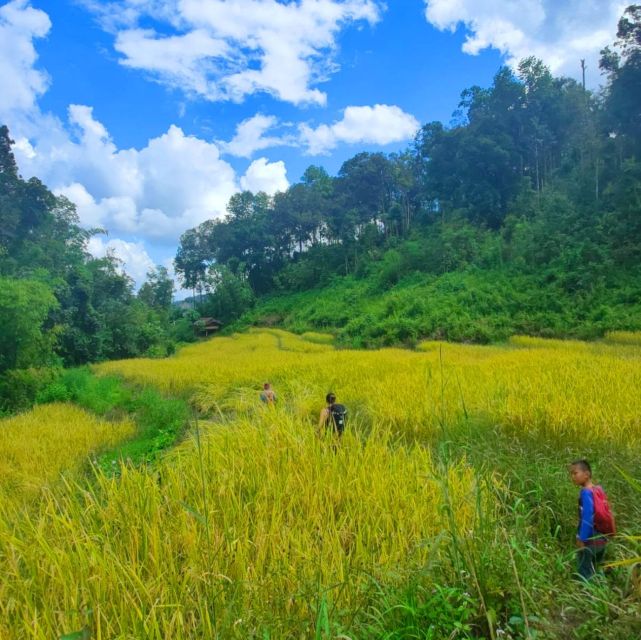 Chiang Mai: Elephant Sanctuary & Jungle Trek w/ Waterfall - Bamboo rafting on the Mae Wang River: how to get the most out of it