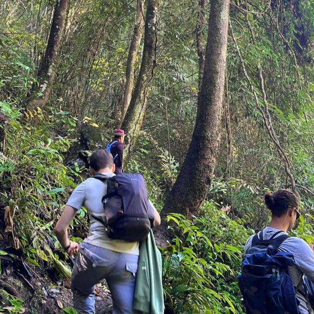 Chiang Mai: Elephant Sanctuary & Jungle Trek w/ Waterfall - Elephant sanctuary time: feeding and bathing in a safe, respectful setup