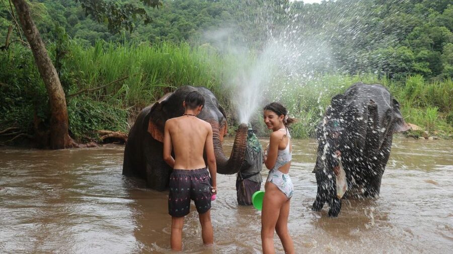 Chiang Mai: Elephant Sanctuary & Jungle Trek w/ Waterfall - Shan Village lunch: the cultural pause that keeps the day human