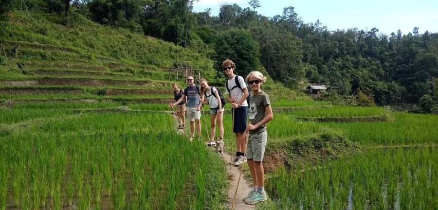 Chiang Mai: Elephant Sanctuary & Jungle Trek w/ Waterfall - Wildlife viewing after the village: more forest time, a slower pace