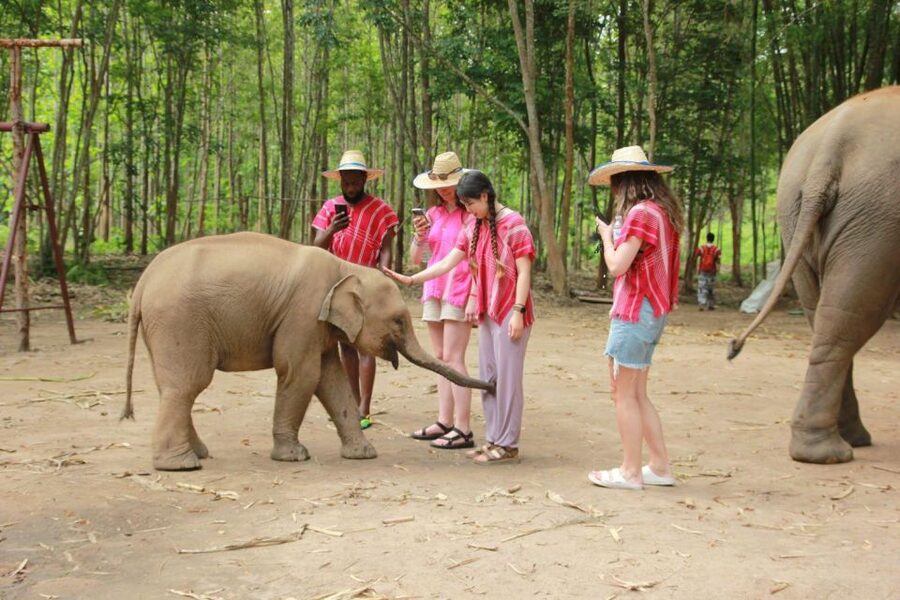 Chiang Mai: Full-Day Kerchor Elephant Eco Park Tour & Trek - Key Things I’d Bet You’ll Remember