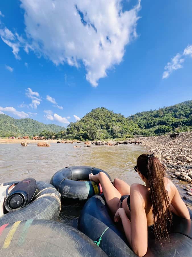 Chiang Mai Full-Day: Trekking, Tubing & Elephant Observation - Key highlights worth your attention