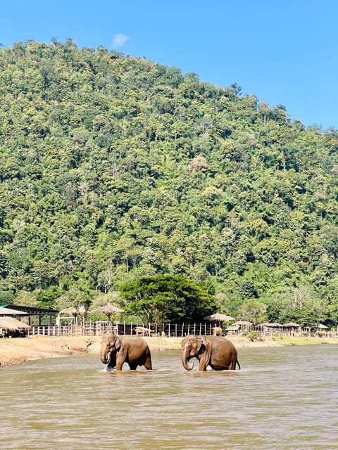 Chiang Mai Full-Day: Trekking, Tubing & Elephant Observation - Mae Taeng river tubing: slow float, guided safety, real scenery