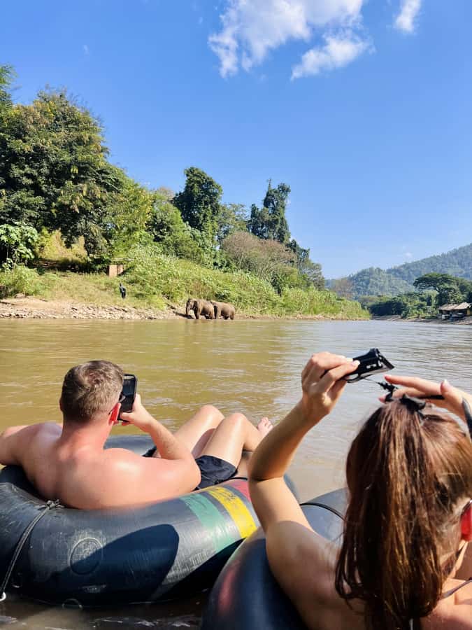 Chiang Mai Full-Day: Trekking, Tubing & Elephant Observation - Ethical elephant observation: how to make the visit meaningful