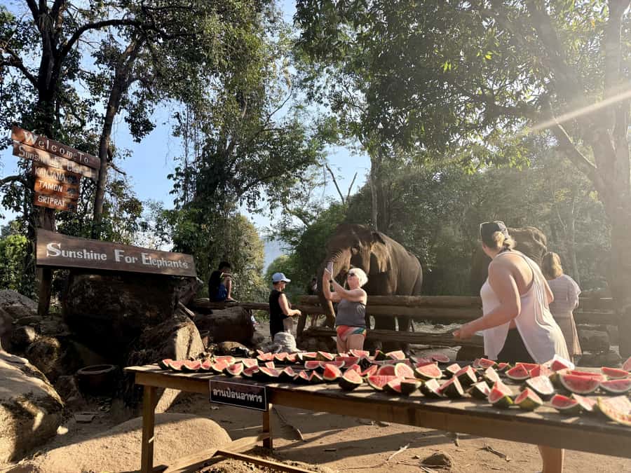 Chiang Mai Full-Day: Trekking, Tubing & Elephant Observation - Hidden waterfall slide at Saa Gee Falls: the option you might not realize you’re skipping