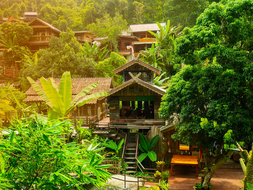 Chiang Mai: Gibbons, Trekking & Mae Kampong Small Group Tour - The Secret Jungle Trail: Steep Steps, Old Tree, and Plant Tasting