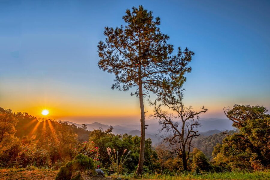 Chiang Mai: Gibbons, Trekking & Mae Kampong Small Group Tour - Value for $77: Why This Feels Like More Than a Standard Day Tour