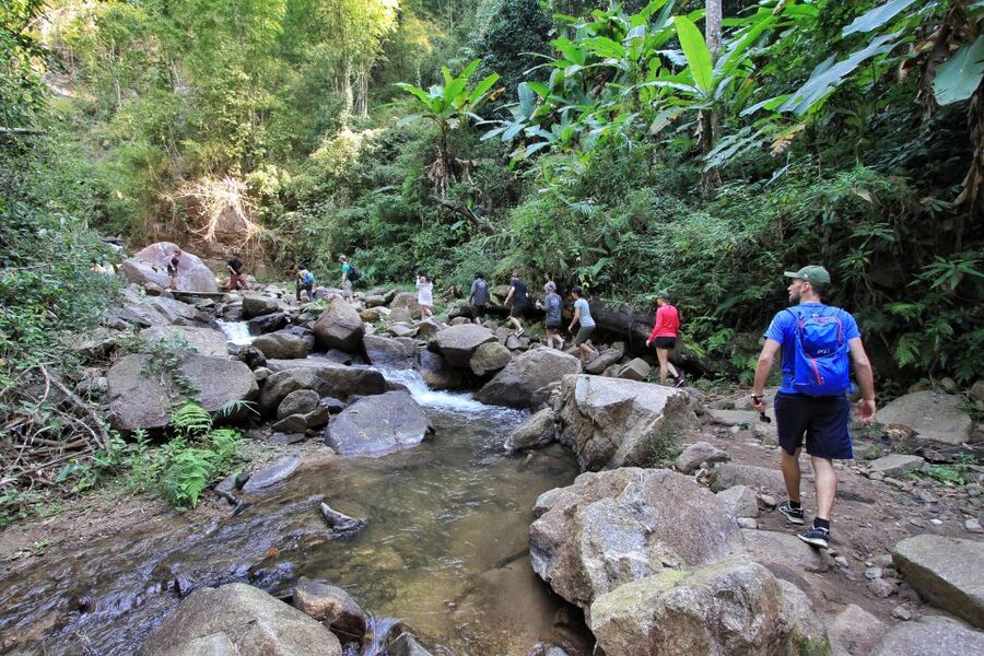 Chiang Mai: Guided Jungle and Waterfall Trek with Transfer - Should you book the Chiang Mai jungle and waterfall trek?