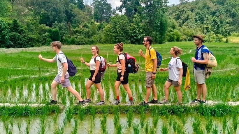 Chiang Mai: Jungle Trek, Elephants care & Bamboo Rafting - Key things I’d bet on before you go