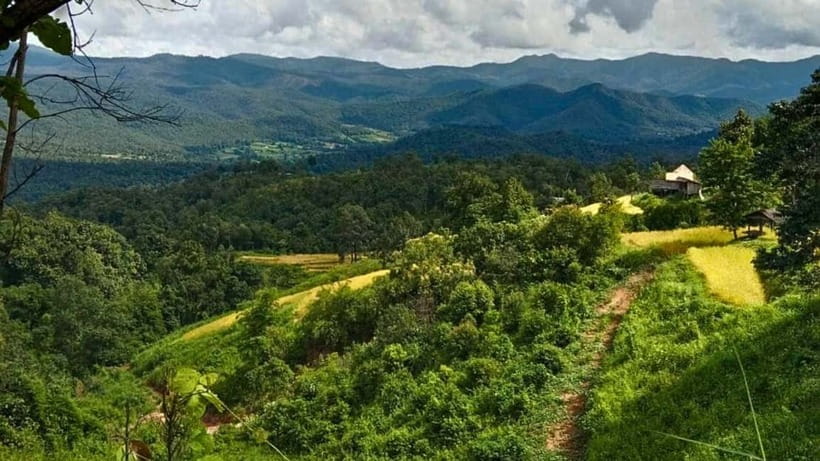 Chiang Mai: Jungle Trek, Elephants care & Bamboo Rafting - What to bring (so you stay comfortable, not miserable)