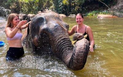 Chiang Mai: Jungle Trek, Elephants care & Bamboo Rafting - Bamboo rafting on a jungle river: what it feels like and how weather changes the plan