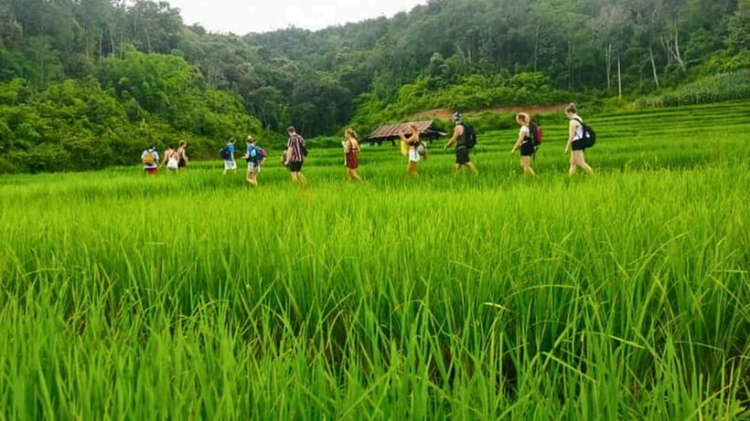 Chiang Mai: Jungle Trek, Elephants care & Bamboo Rafting - Mae Win and photo stops: quick scenery, not a full stop