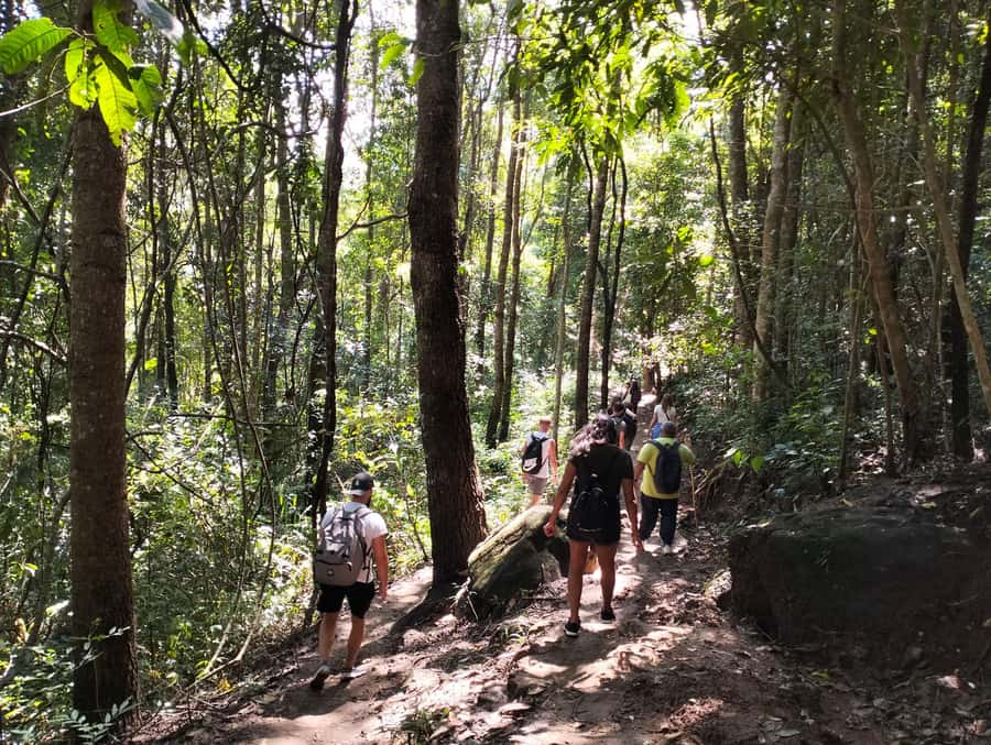 Chiang Mai: Mae Ya Waterfall & Pha Dok Siew Trail Trek - Getting started from Chiang Mai: pickup zones and the 1.5-hour travel to Wachiratharn