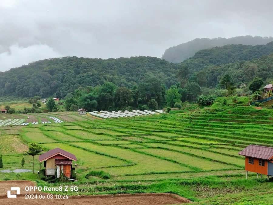 Chiang Mai: Mae Ya Waterfall & Pha Dok Siew Trail Trek - Price and logistics: what $80 buys (and what to watch)
