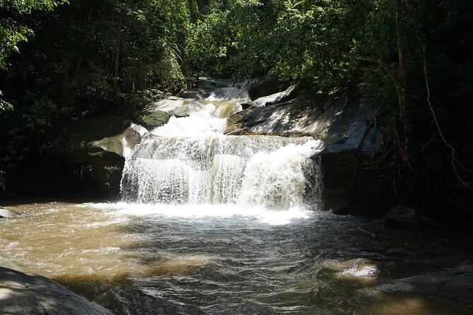 Chiang Mai Trekking Tour :Full day (no rafting) - Why This Chiang Mai Trek Tackles Two Adventures at Once
