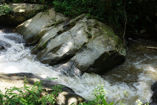 Chiang Mai Trekking Tour :Full day (no rafting) - Pace and Physical Fit: Moderate Fitness for 8 Hours Outdoors