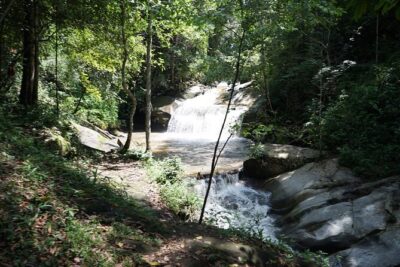 Chiang Mai Trekking Tour :Full day (no rafting) - The Jungle Trek in the Doi Inthanon Area: Trails, Waterfalls, and a Real Break