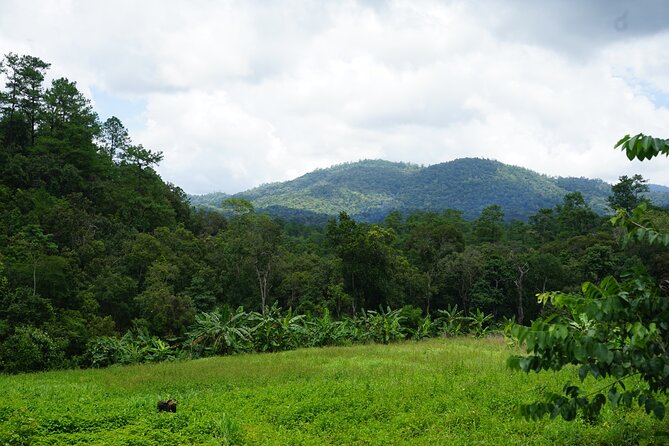 Chiang Mai Trekking Tour :Full day (no rafting) - Price and Value: Why $64.53 Can Make Sense for a Full-Day Plan