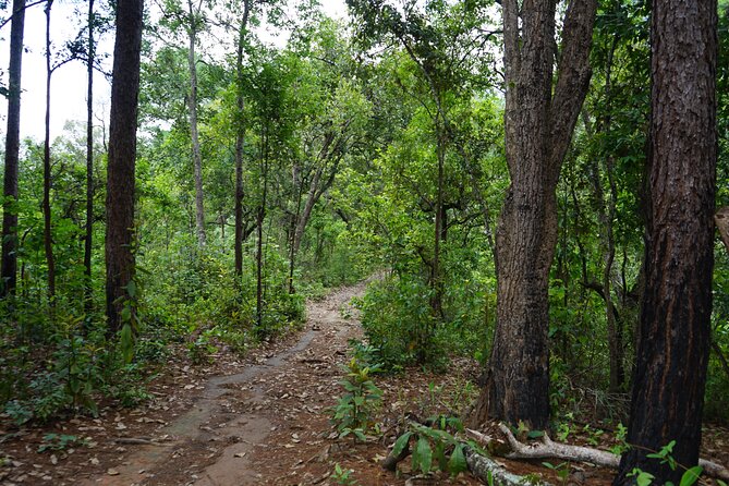 Chiang Mai Trekking Tour :Full day (no rafting) - FAQ