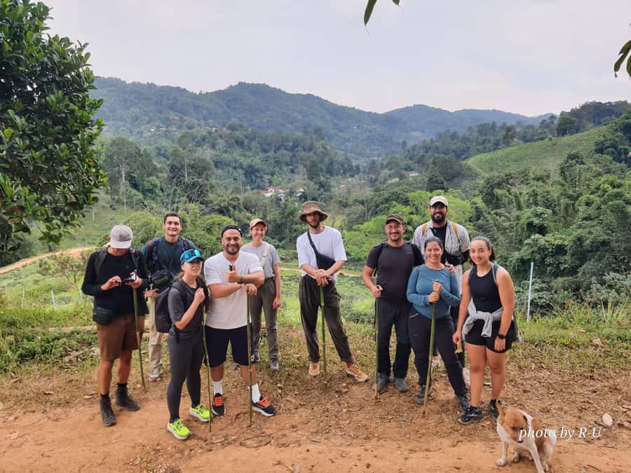Chiang Rai: 2-Day Jungle Trek only walk with Waterfall - Day 1: hot spring start, tea country waterfall break, and Akha overnight