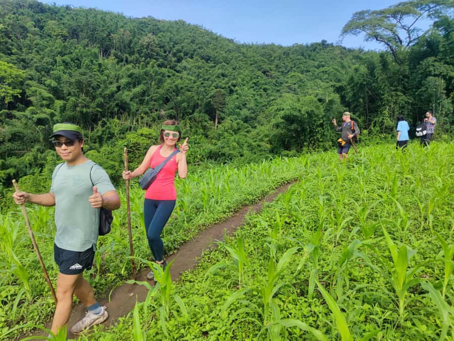 Chiang Rai: Jungle Adventure-Group Trekking & Bamboo Cooking - Small Practical Tips That Actually Help