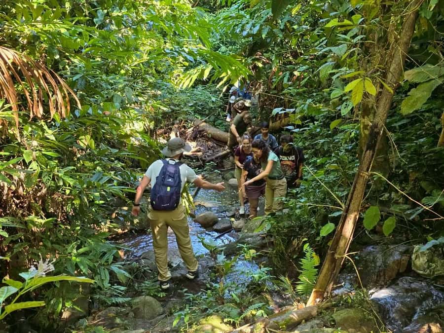 Chiang Rai: Jungle Adventure-Group Trekking & Bamboo Cooking - Bamboo Forests and Farmland Walking: Where the Trek Gets Real