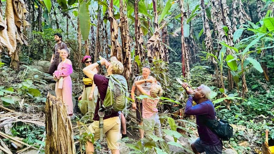 Chiang Rai: Jungle Adventure-Group Trekking & Bamboo Cooking - Waterfall Dip: The Second-Largest Stop and What to Bring
