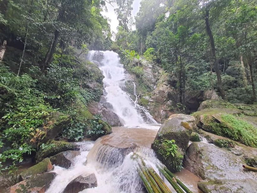 Chiang Rai Trek:Jungle Hike, Bamboo-Cooked Lunch & Boat Ride - Price and what you really get for $77 in Chiang Rai