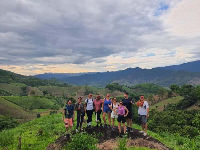 Chiang Rai Trek:Jungle Hike, Bamboo-Cooked Lunch & Boat Ride - The tea plantation stop: a breather with a view