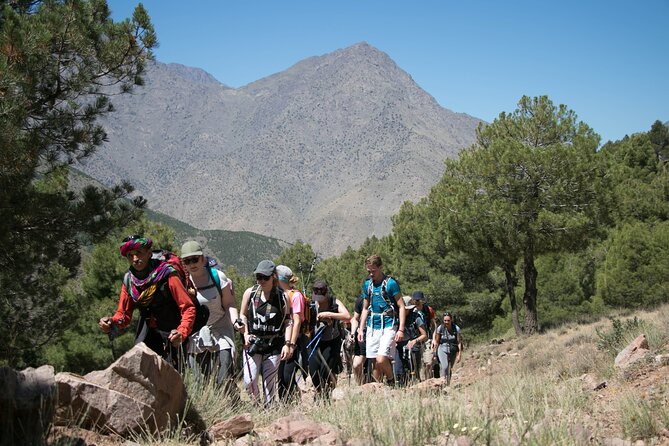 Climb Mount Toubkal - trekking - 3 days - Key highlights worth your time