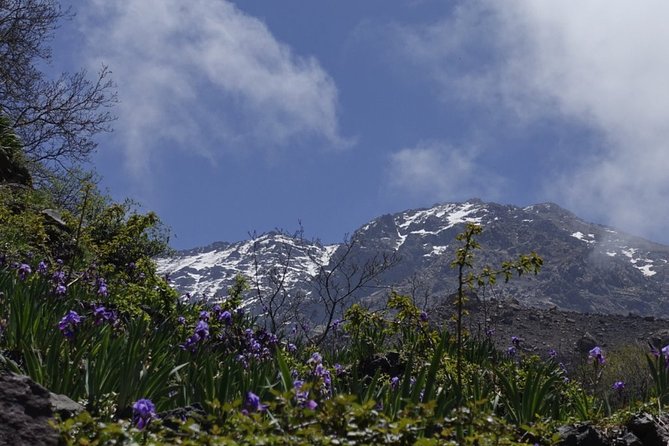 Climb Mount Toubkal - trekking - 3 days - Should you book this Mount Toubkal 3-day trek?