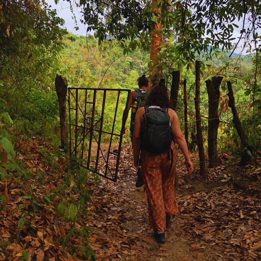 Coffee, Cocoa and Trekking Tour in Minca: Nature, Crops and Production - Start at Parque de Minca: Your Easy First Step Into the Day