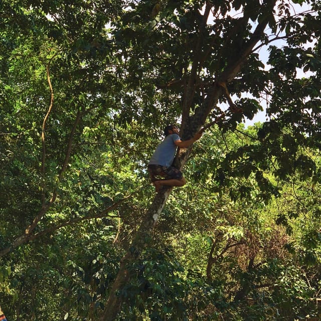 Coffee, Cocoa and Trekking Tour in Minca: Nature, Crops and Production - Finca San Rafael Farm Visit: Where Coffee and Cocoa Become Real