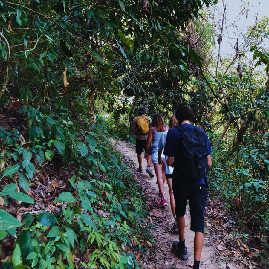 Coffee, Cocoa and Trekking Tour in Minca: Nature, Crops and Production - Tastings That Actually Mean Something: Organic Coffee and Handmade Cocoa