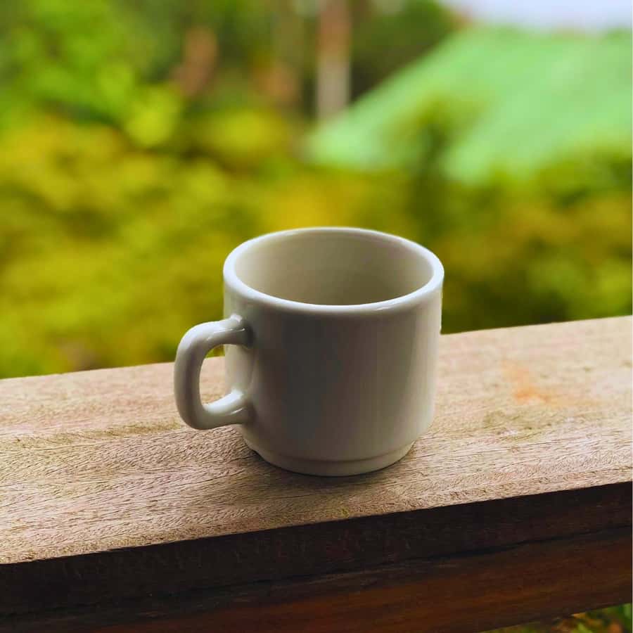Coffee, Cocoa and Trekking Tour in Minca: Nature, Crops and Production - Price and Value: Is $41 Worth Your Time?
