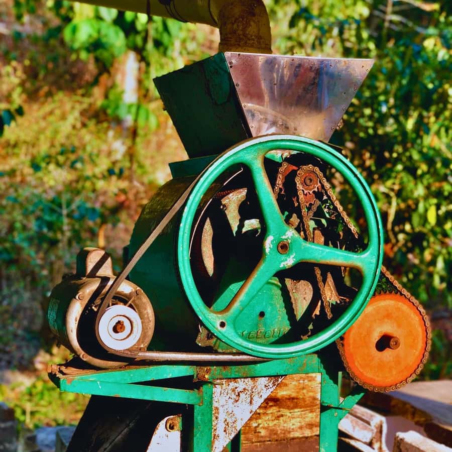 Coffee, Cocoa and Trekking Tour in Minca: Nature, Crops and Production - What to Bring: Make the Hike Easier Than It Needs to Be