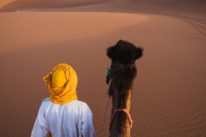 Combined Tour: Atlas Mountains Trek and Sahara Desert 5 days Tour - Day 1: Imlil and the steady climb to Toukbal Refuge (3206m)