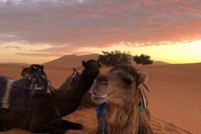 Combined Tour: Atlas Mountains Trek and Sahara Desert 5 days Tour - Day 2: Summit attempt on Jebel Toukbal and the payoff views