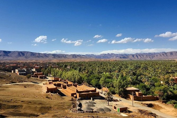 Combined Tour: Atlas Mountains Trek and Sahara Desert 5 days Tour - Day 5: Sunrise, breakfast, camel back, and the return to Marrakech