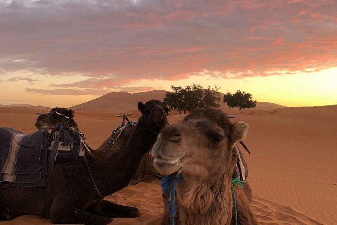 Combined Tour: Atlas Mountains Trek and Sahara Desert 5 days Tour - Day 2: Summit attempt on Jebel Toukbal and the payoff views