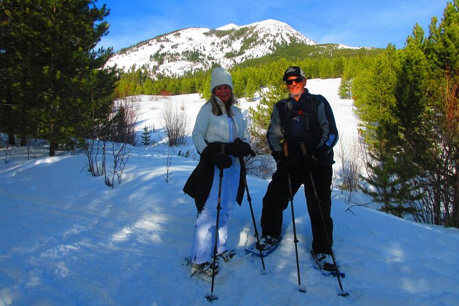 Combo Tour: Driving and Snowshoe Trek of Glacier National Park - What the guide adds: Justin’s stories and local details