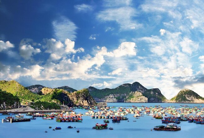 Cruising- Kayaking- Cycling- Trekking 3D/2N from Cat Ba in less tourist areas. - Key Points You’ll Care About