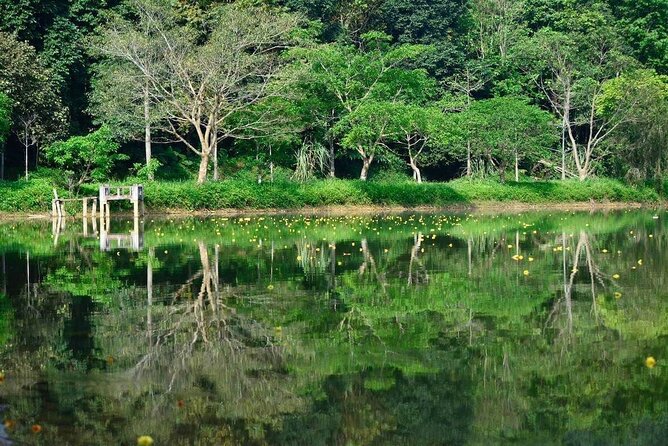 Cuc Phuong National Park Private Day Tour: Trekking & Primates - Endangered Primate Rescue Centre: Conservation First, Then Jungle Time