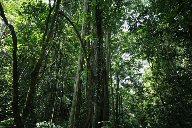 Cuc Phuong National Park Private Day Tour: Trekking & Primates - Price and Value: Is $99 a Fair Deal?