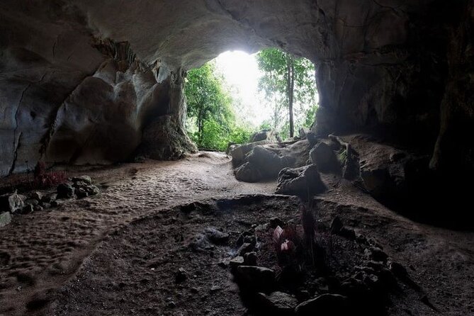 Cuc Phuong National Park Private Day Tour: Trekking & Primates - Who This Private Tour Fits Best