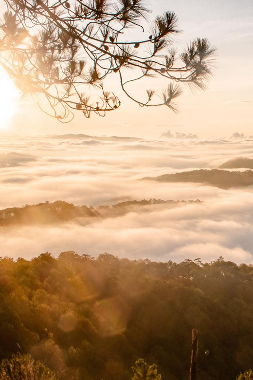 Da Lat: Chasing the Sunrise - A Mini Trek Adventure - Getting up the pine hill: the mini trek you’ll actually finish