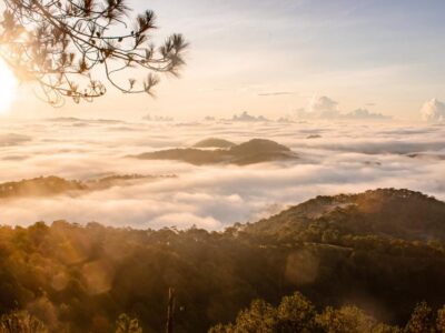 Da Lat: Chasing the Sunrise - A Mini Trek Adventure - Meeting at Da Lat Diocese Cathedral and the early-morning logistics